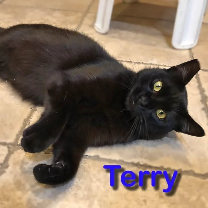 Terry thumbnail 6