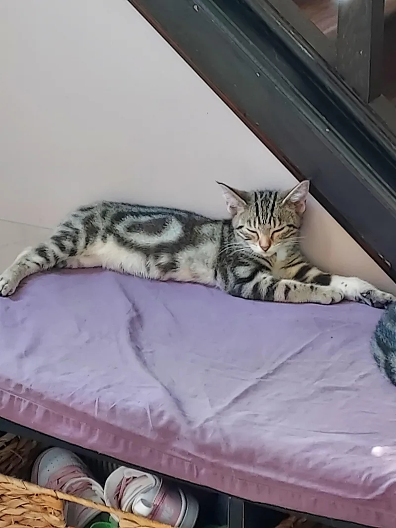 Jem