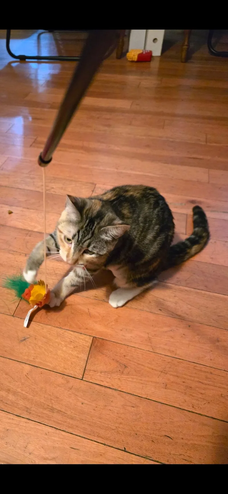 Mona Lisa thumbnail 2