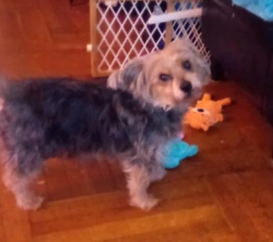 Max