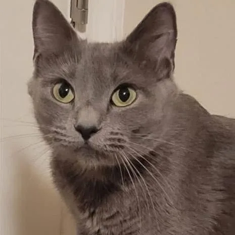 Josephine thumbnail 2