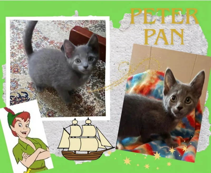 Peter Pan