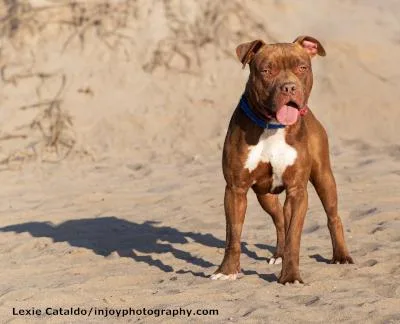 Brown Sugar thumbnail 3