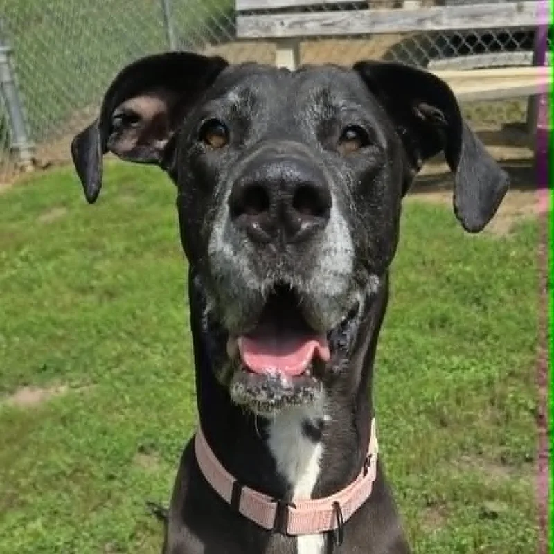 Maggie