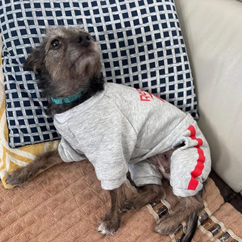 Lil' Elle thumbnail 6