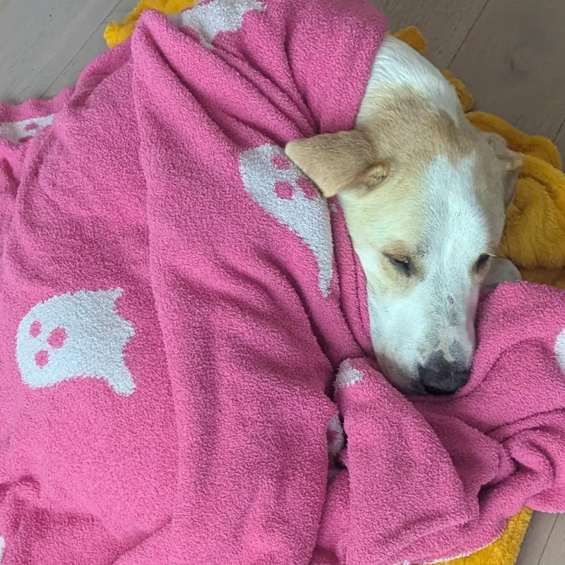 Mitch thumbnail 5