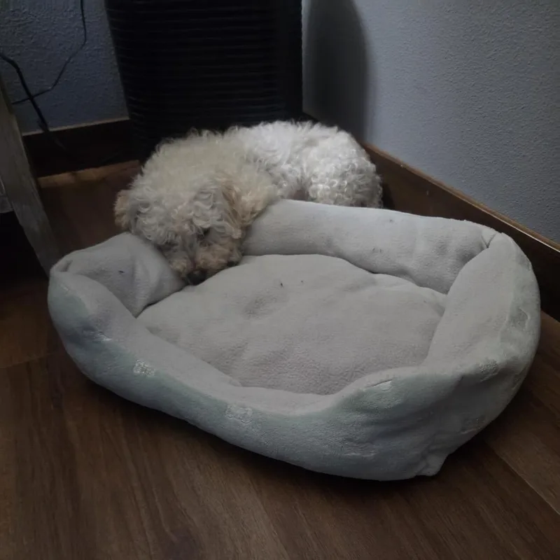 Lilah
