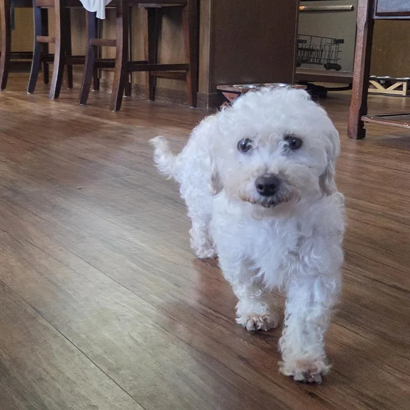 Lilah thumbnail 2