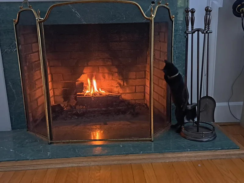 Ivy & Bean thumbnail 3