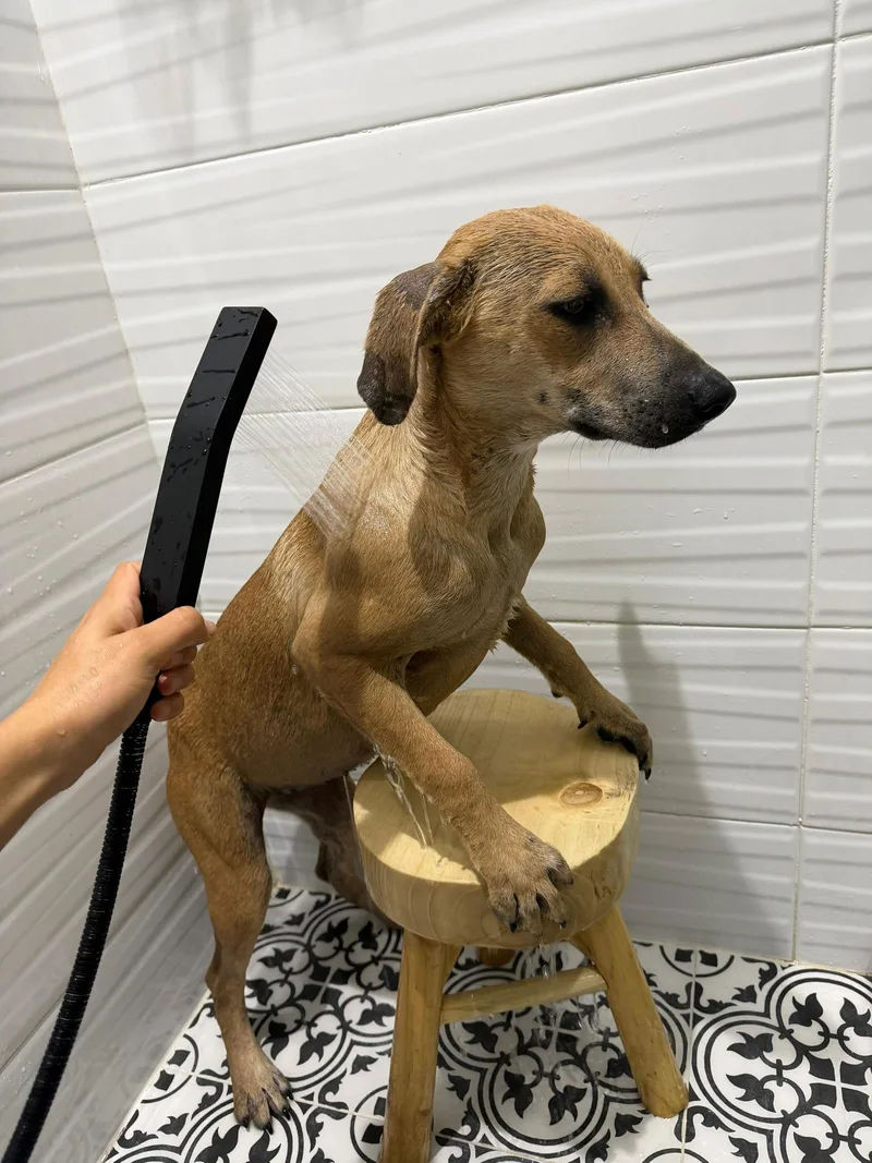 Luna Margarita thumbnail 2