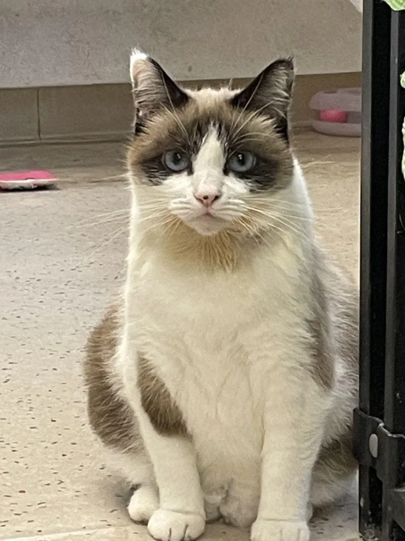 Princess thumbnail 3