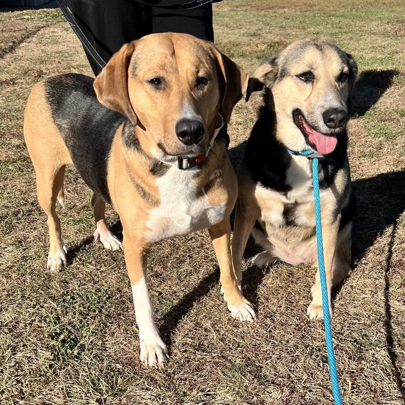 Ms. Cece thumbnail 2