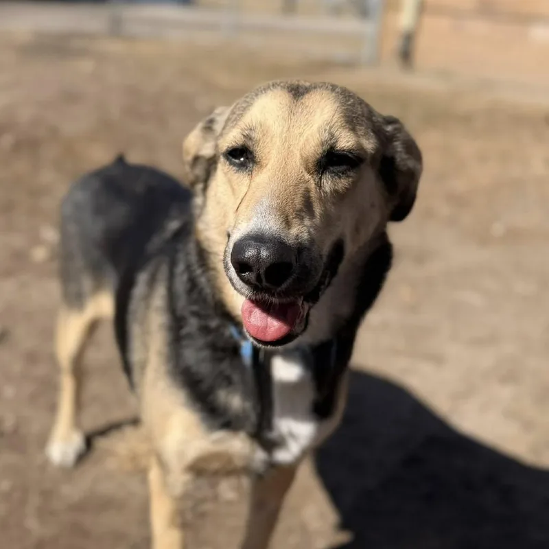 Ms. Cece thumbnail 3