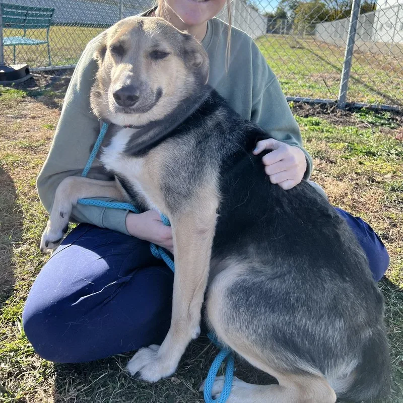 Ms. Cece thumbnail 4