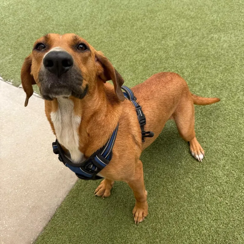 Rita thumbnail 3