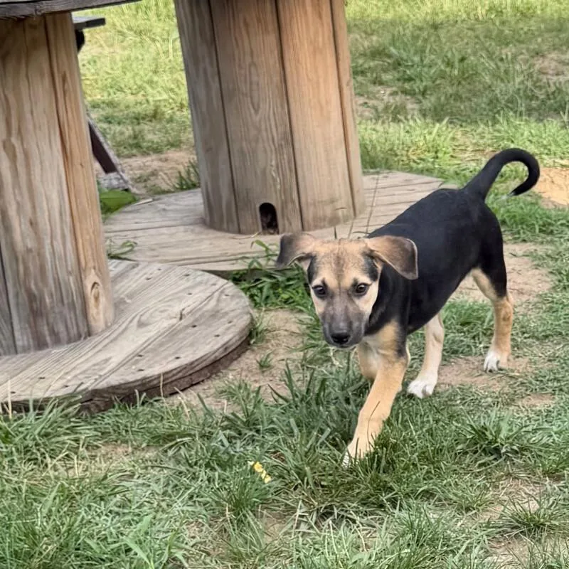 Molly