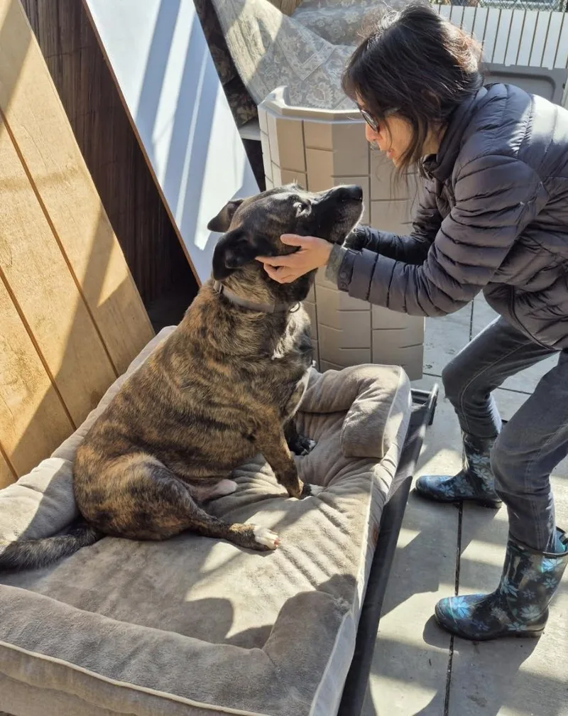 Scooby Dooby Doo!! thumbnail 2