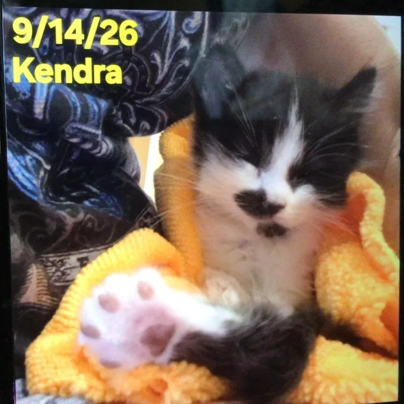 Kendra
