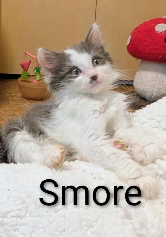 Smore thumbnail 3