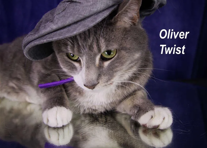 Oliver Twist thumbnail 2
