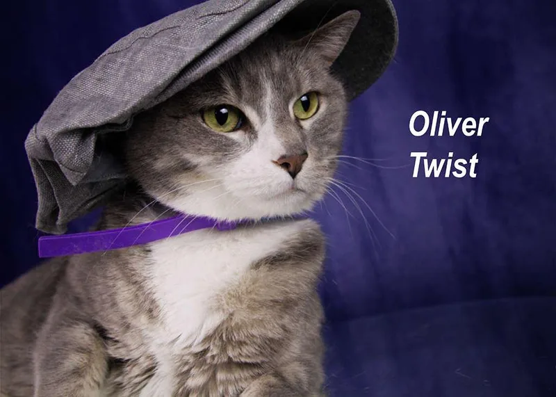 Oliver Twist thumbnail 3