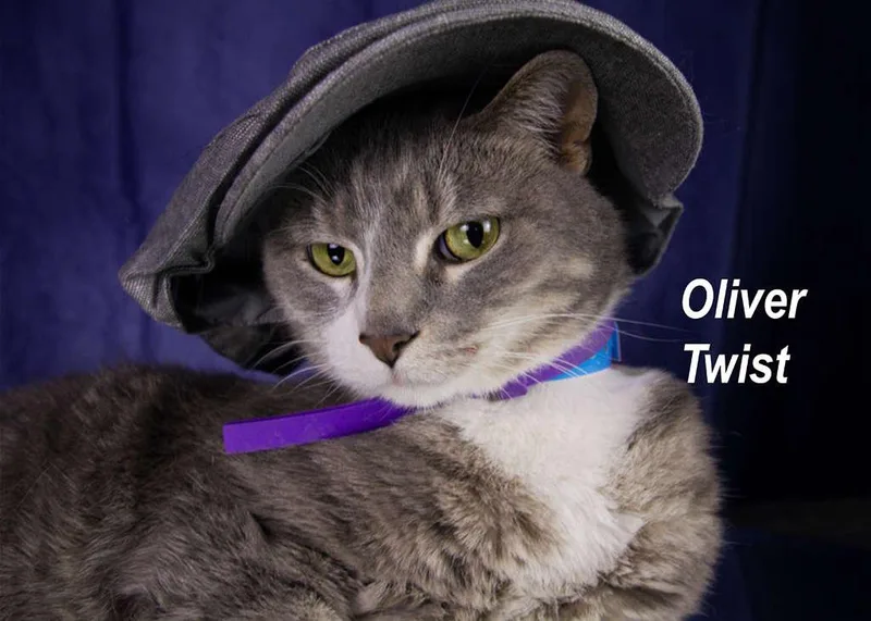 Oliver Twist thumbnail 4