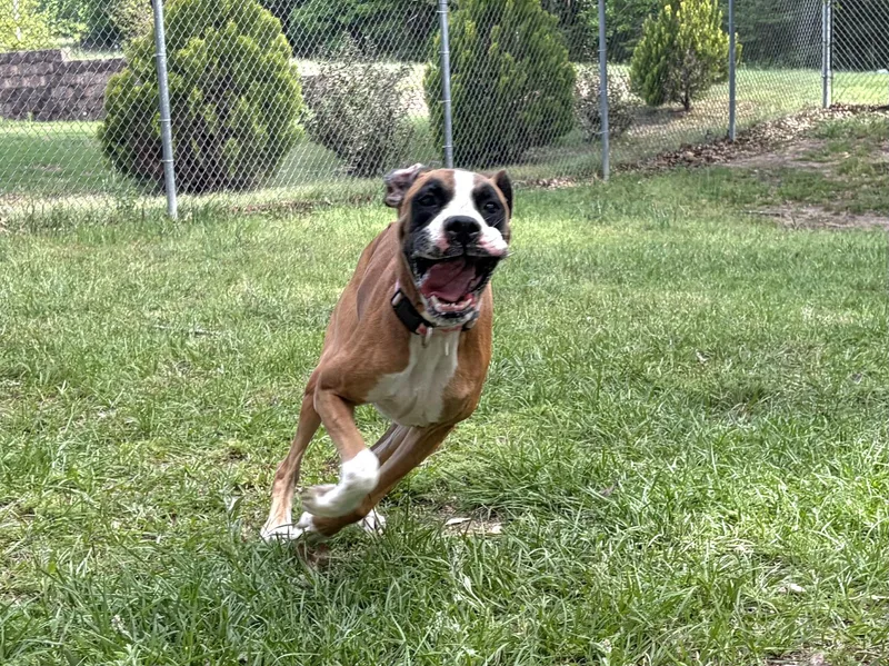 Ellie