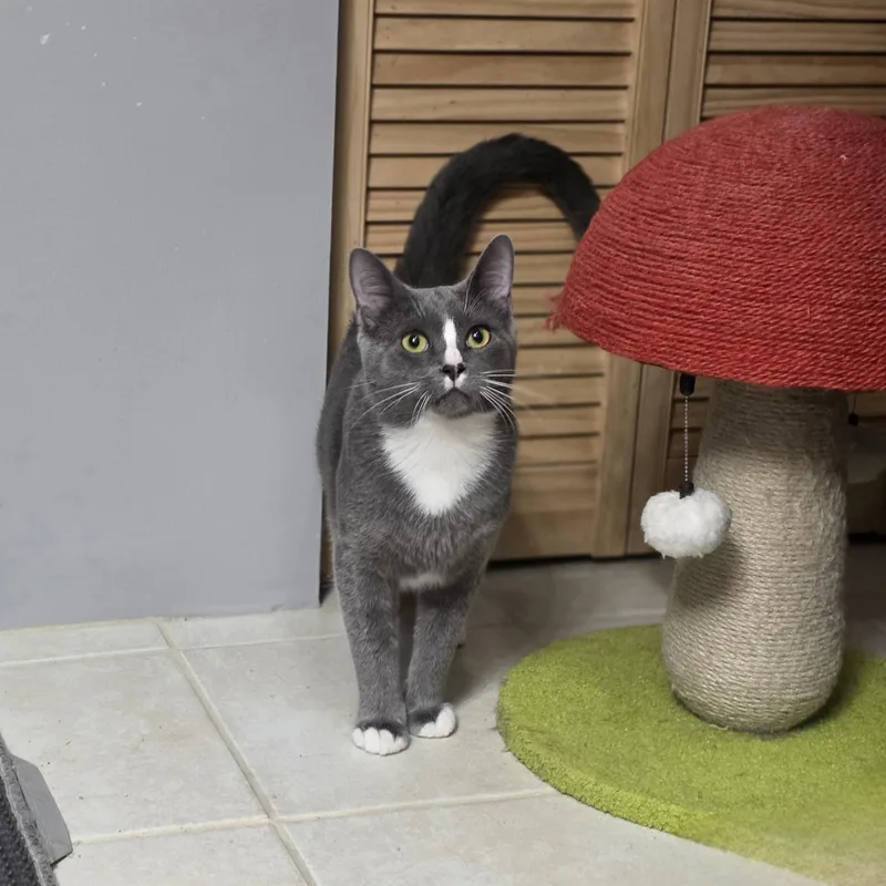 Greyson & Rory thumbnail 5
