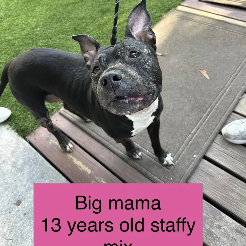 Big Mama thumbnail 3