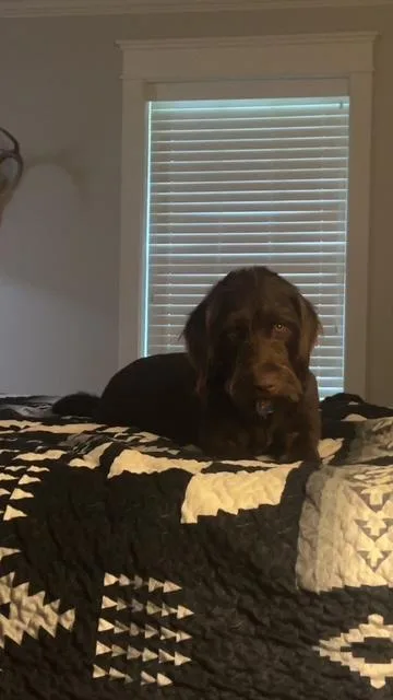 Coco thumbnail 2