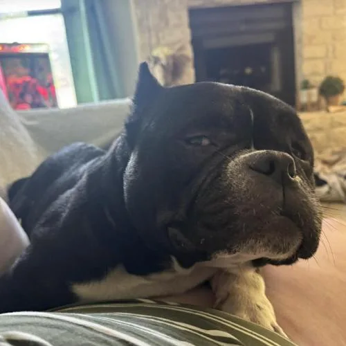 Loaf