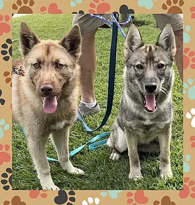 Jack & Jill thumbnail 2