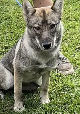 Jack & Jill thumbnail 3