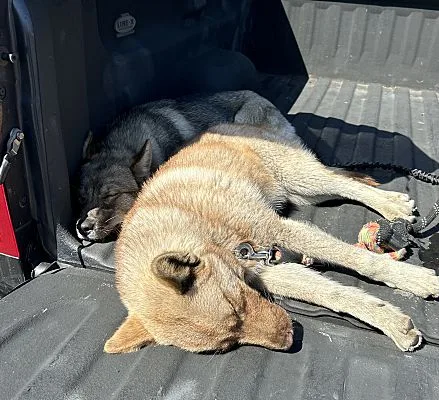 Jack & Jill thumbnail 4