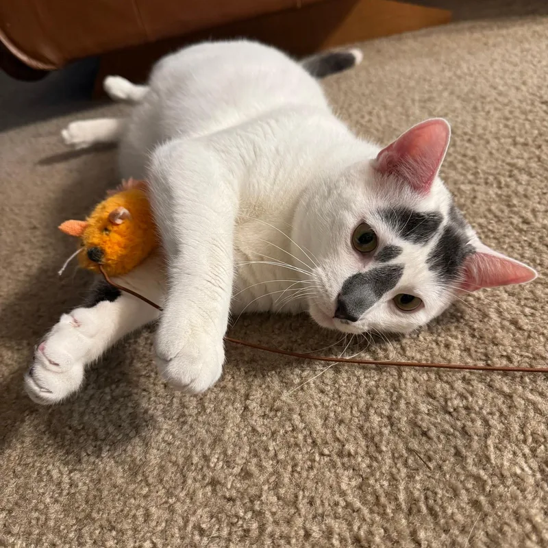 Guy Ritchie thumbnail 2