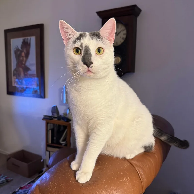 Guy Ritchie thumbnail 3