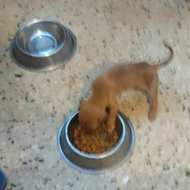 Shazam "a Bolt Of thumbnail 3