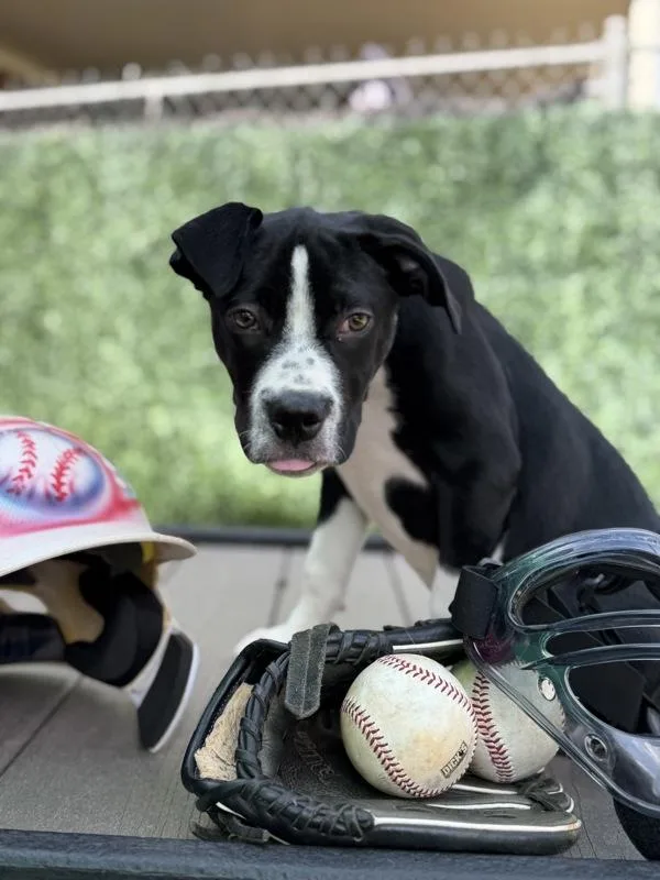 Catcher