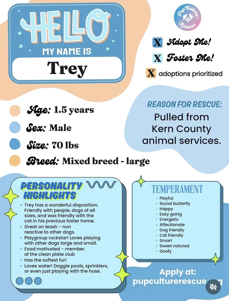 Trey thumbnail 5