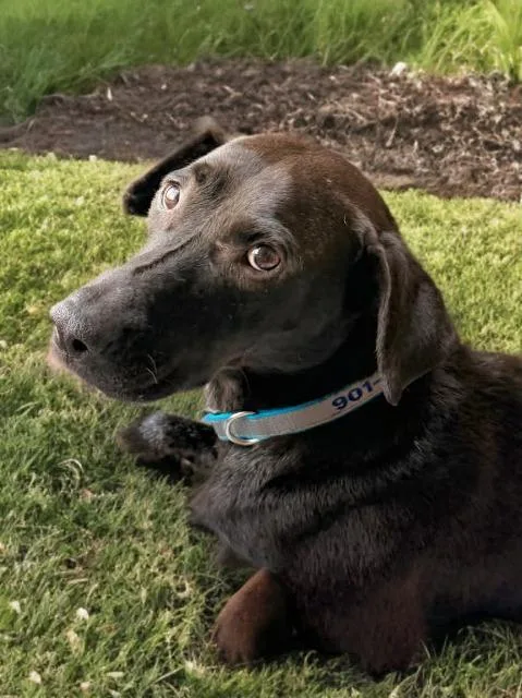 Gabby Flora thumbnail 2