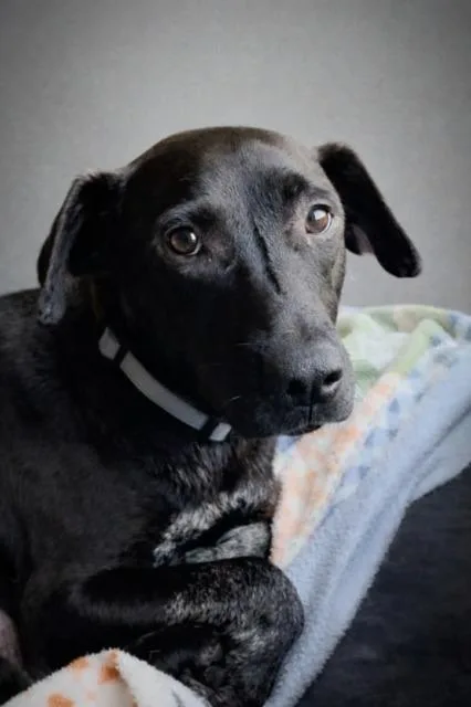 Gabby Flora thumbnail 3