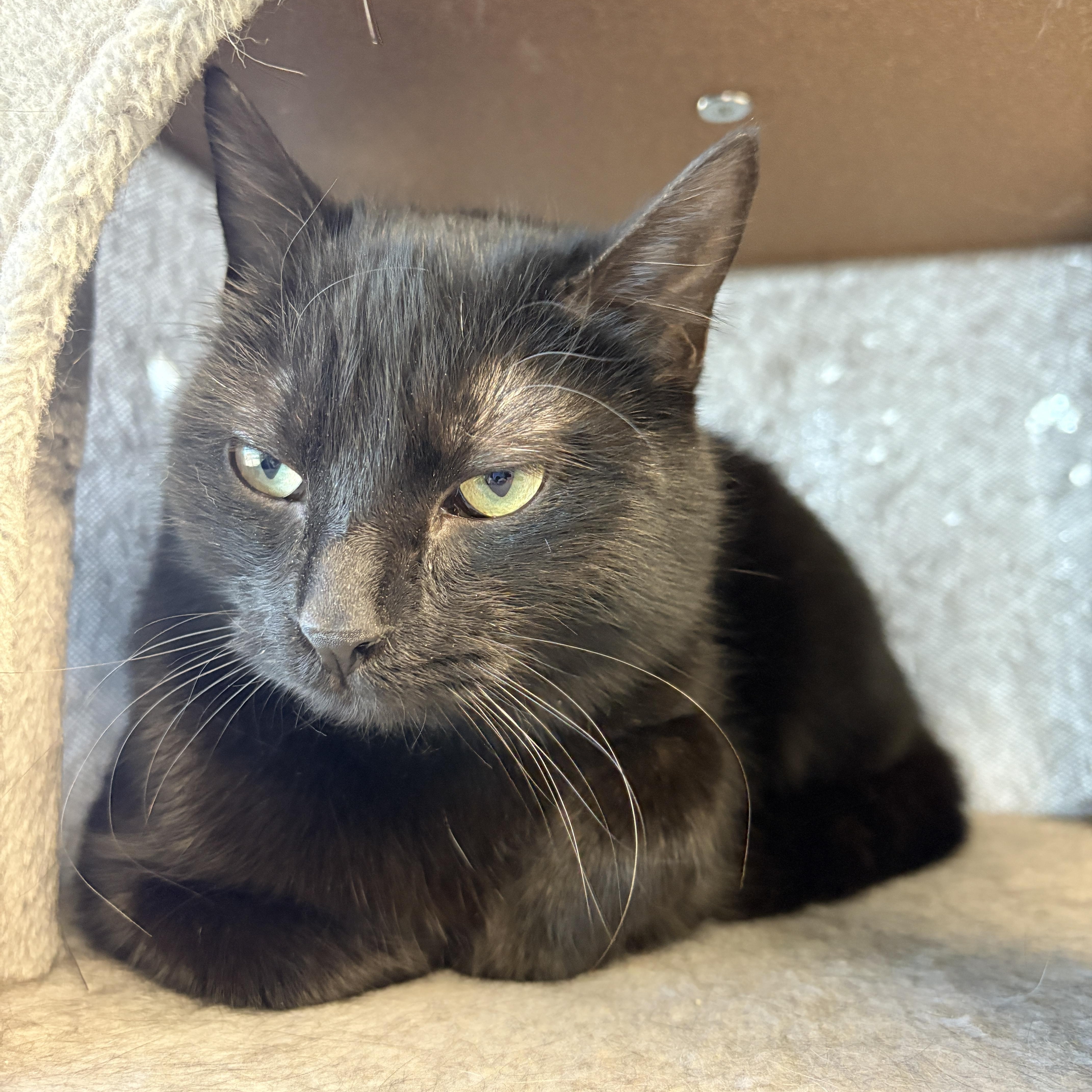 Lucille Ball thumbnail 3