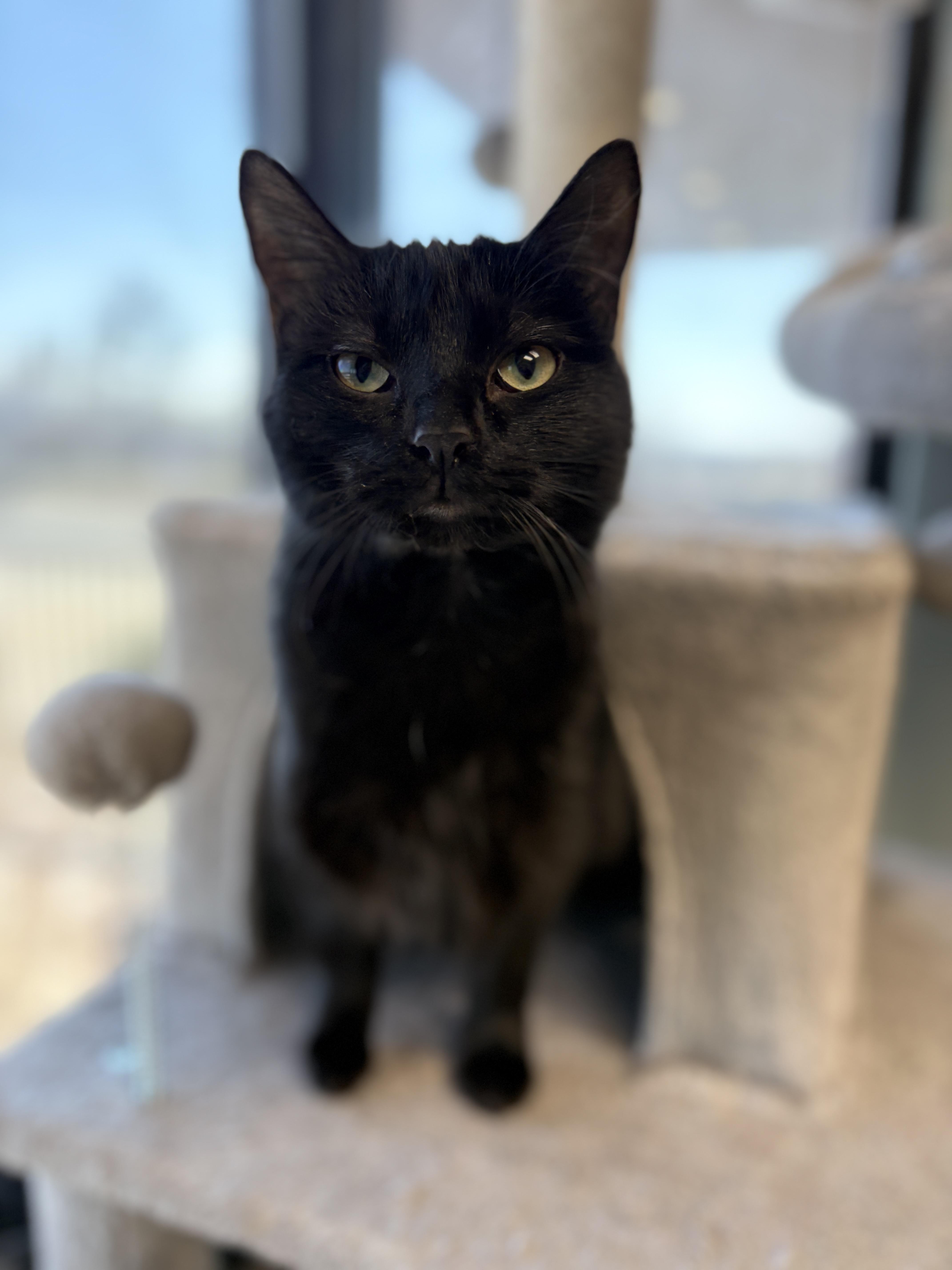 Lucille Ball thumbnail 6