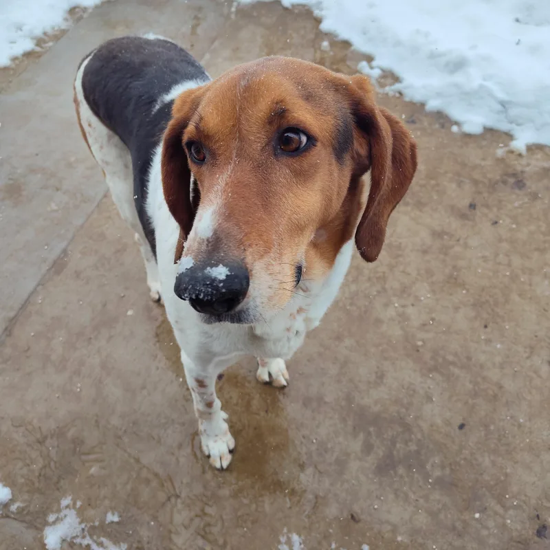 Franklyn thumbnail 2