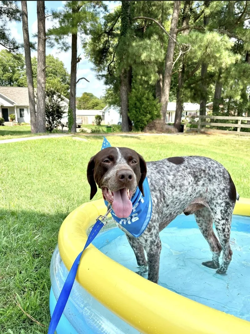 Blu