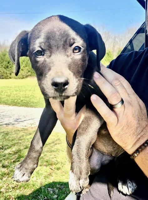 Finley Famous thumbnail 2