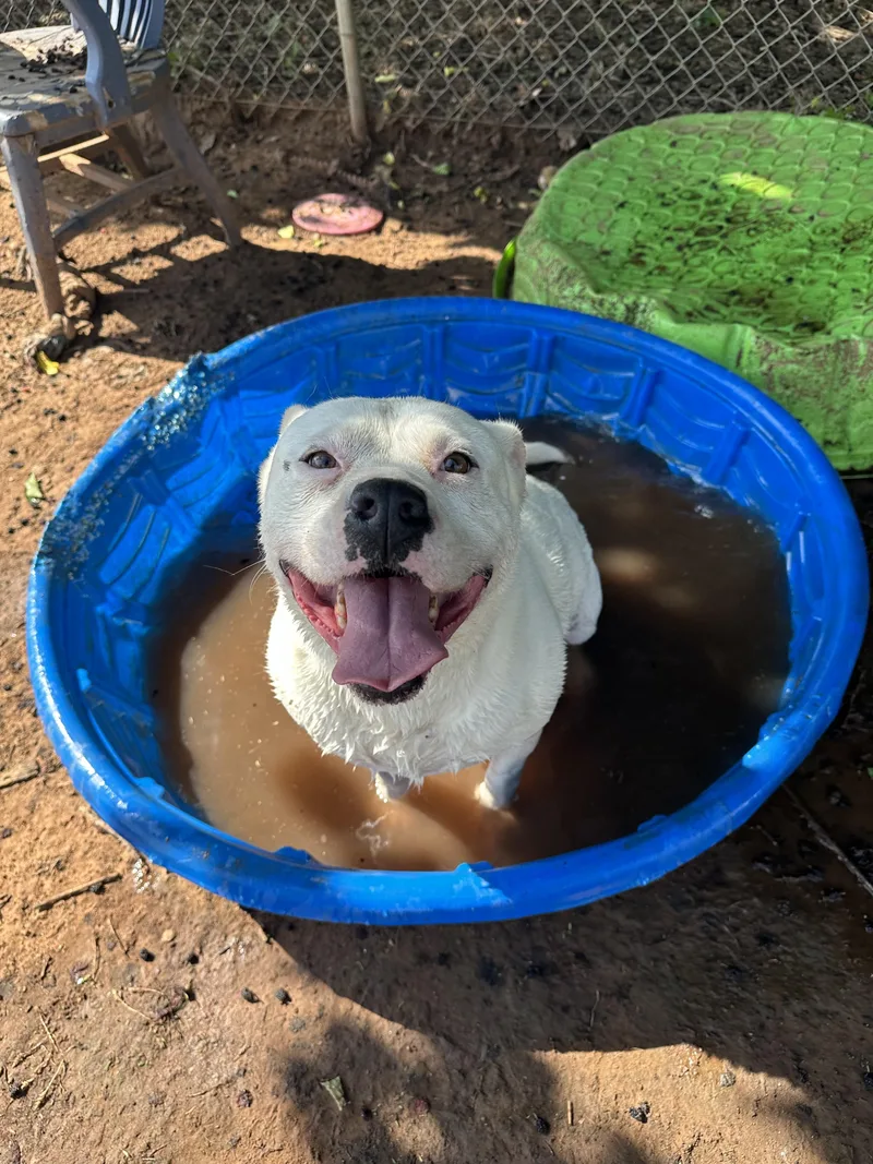 Marabell thumbnail 2