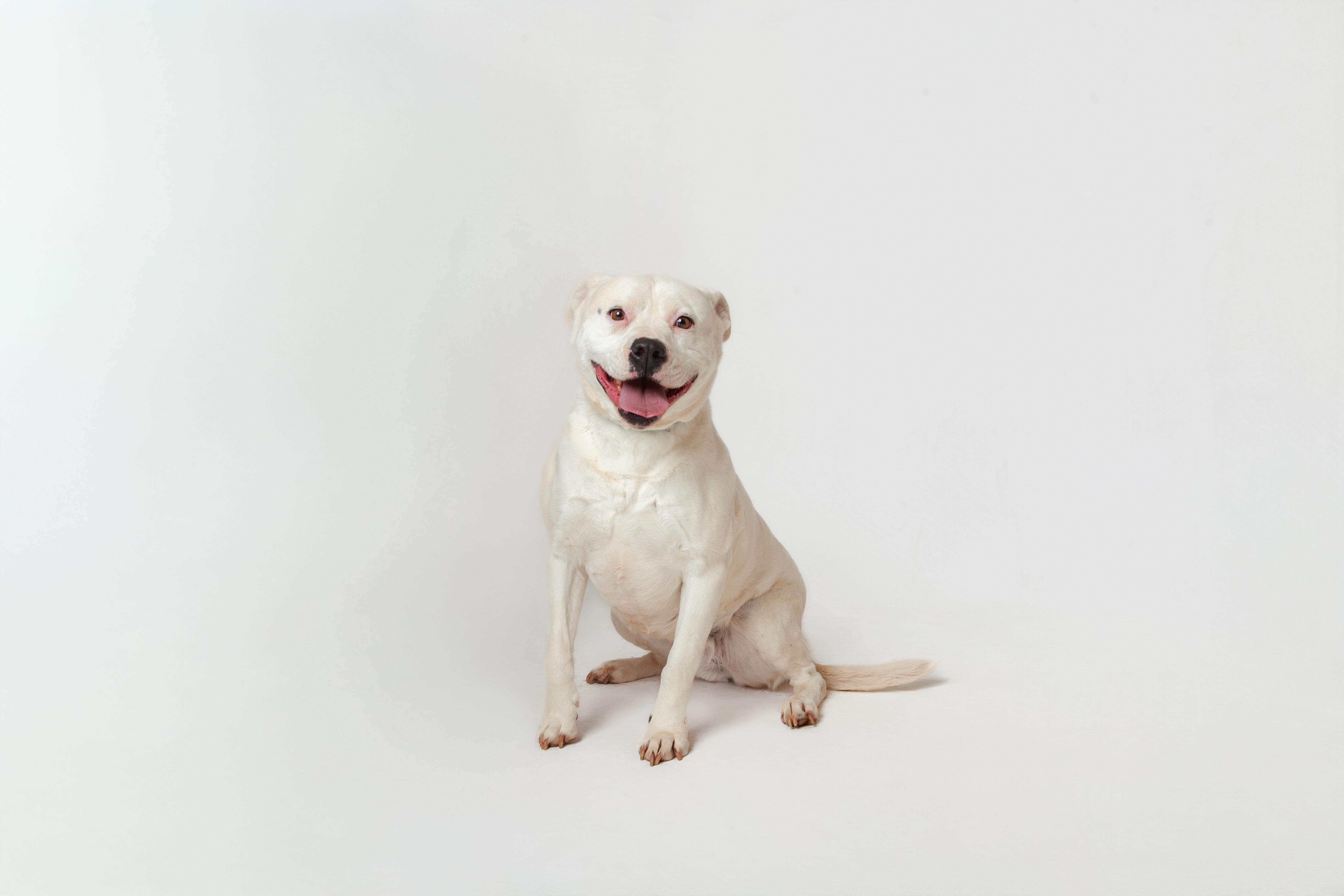 Marabell thumbnail 3