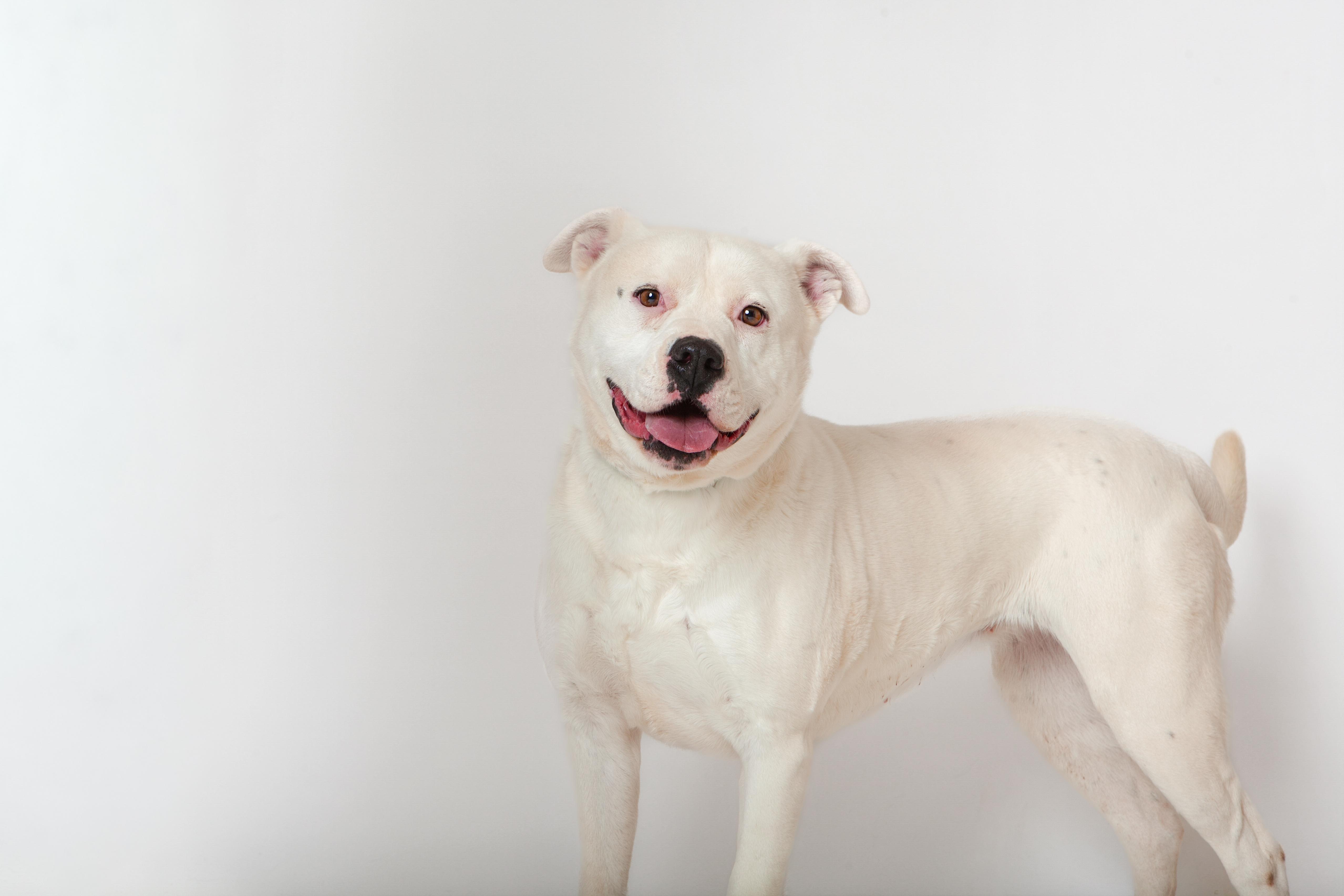 Marabell thumbnail 4