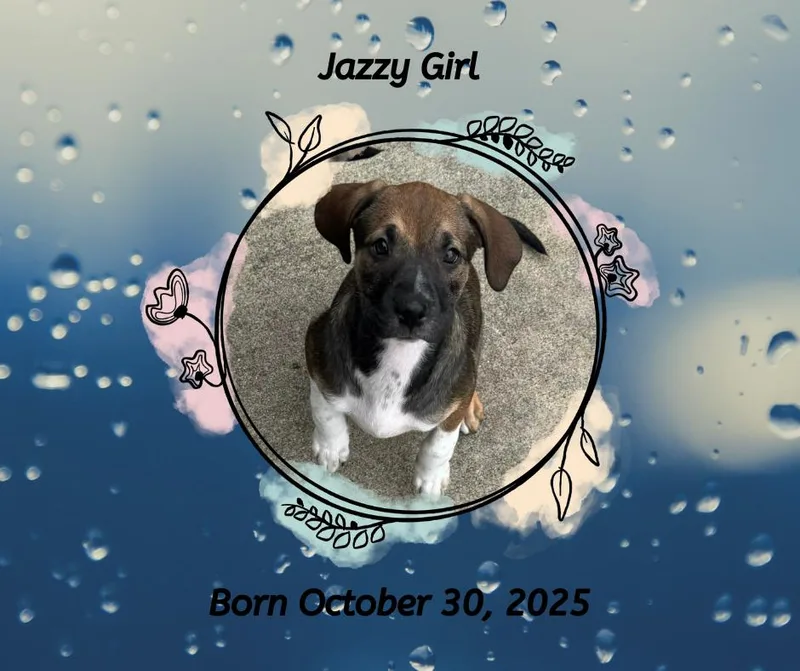 Jazzy Girl